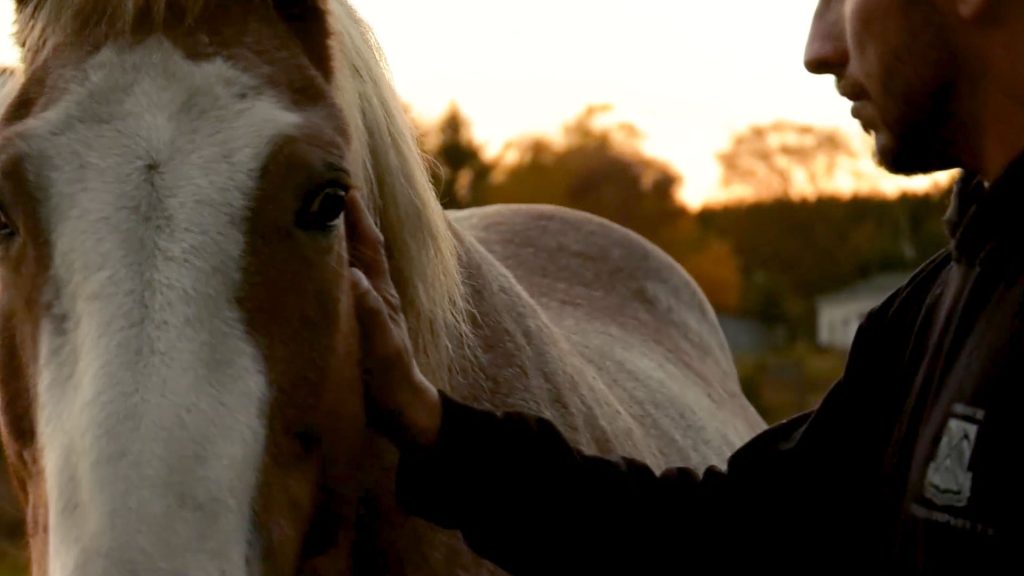 Faith and Healing on Horseback: ‘A Ringside Seat to Miracles Every Day’